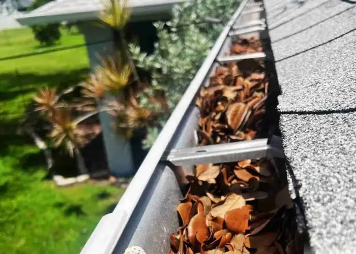 Gutter Cleaning Odessa DE home page